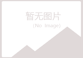 柯城区盼夏工程有限公司